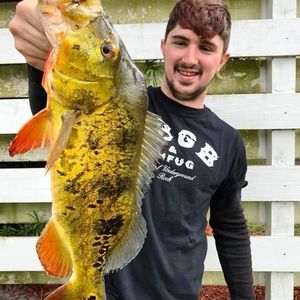 Meet your Posher, Douglas